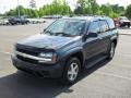 Dark Gray Metallic - TrailBlazer LS Photo No. 1