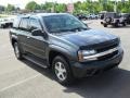 Dark Gray Metallic - TrailBlazer LS Photo No. 4