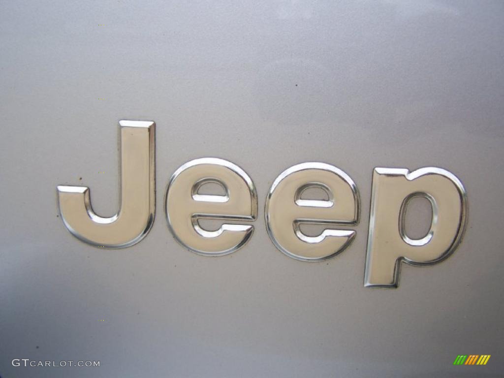 2003 Grand Cherokee Limited - Bright Silver Metallic / Dark Slate Gray photo #17