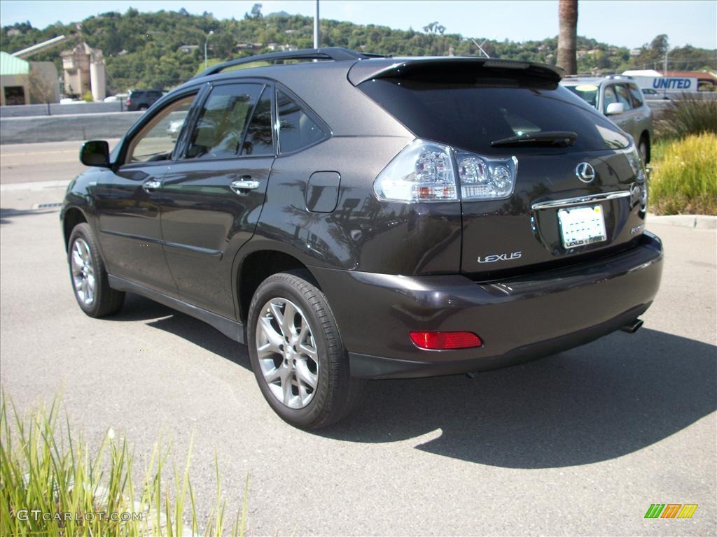 2009 RX 350 AWD - Truffle Mica / Light Gray photo #5