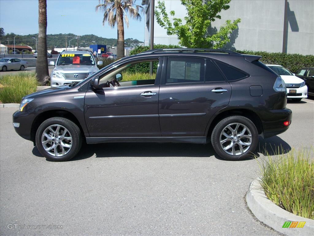 2009 RX 350 AWD - Truffle Mica / Light Gray photo #6