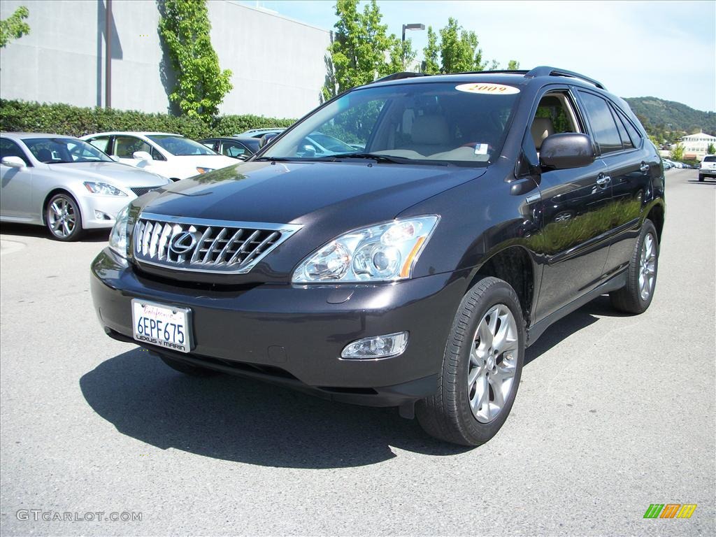 2009 RX 350 AWD - Truffle Mica / Light Gray photo #7