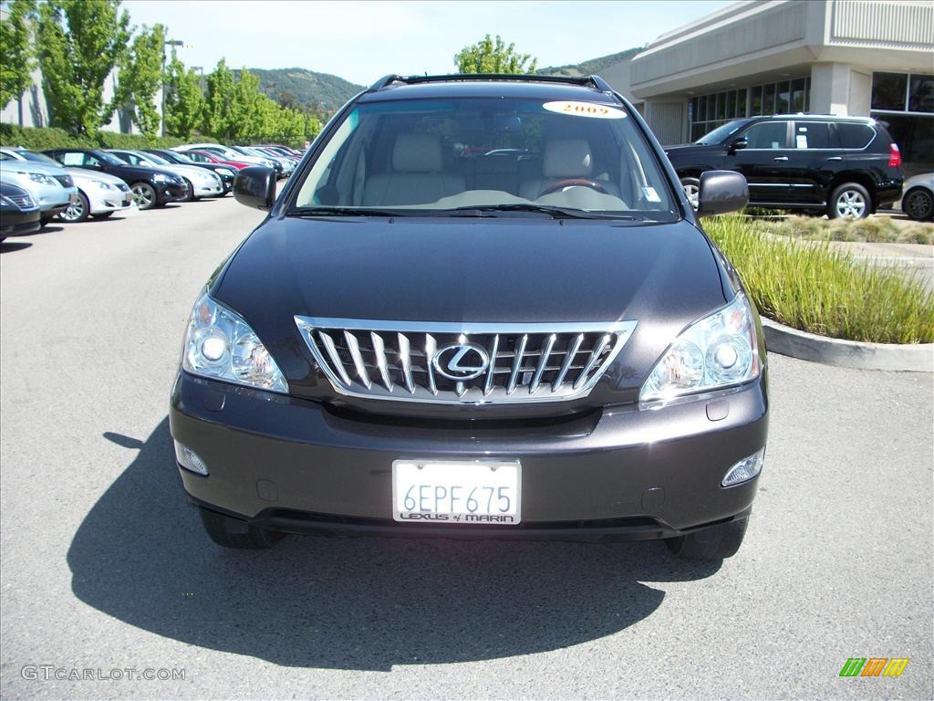 2009 RX 350 AWD - Truffle Mica / Light Gray photo #8