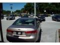 Golden Beige - Sonata GLS V6 Photo No. 6
