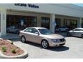 Golden Beige - Sonata GLS V6 Photo No. 9