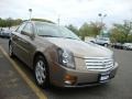 Radiant Bronze - CTS Sedan Photo No. 16