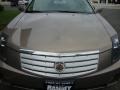 Radiant Bronze - CTS Sedan Photo No. 17
