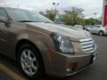 Radiant Bronze - CTS Sedan Photo No. 24