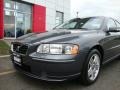Titanium Gray Metallic - S60 2.5T Photo No. 17