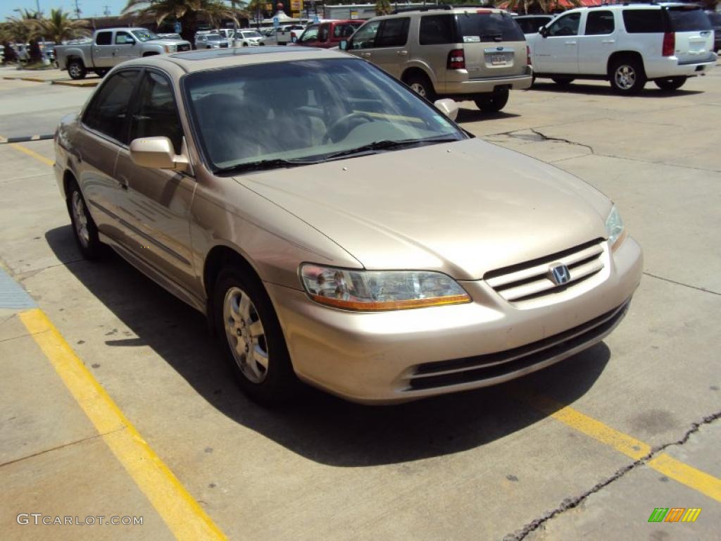 2002 Accord EX Sedan - Naples Gold Metallic / Ivory photo #5