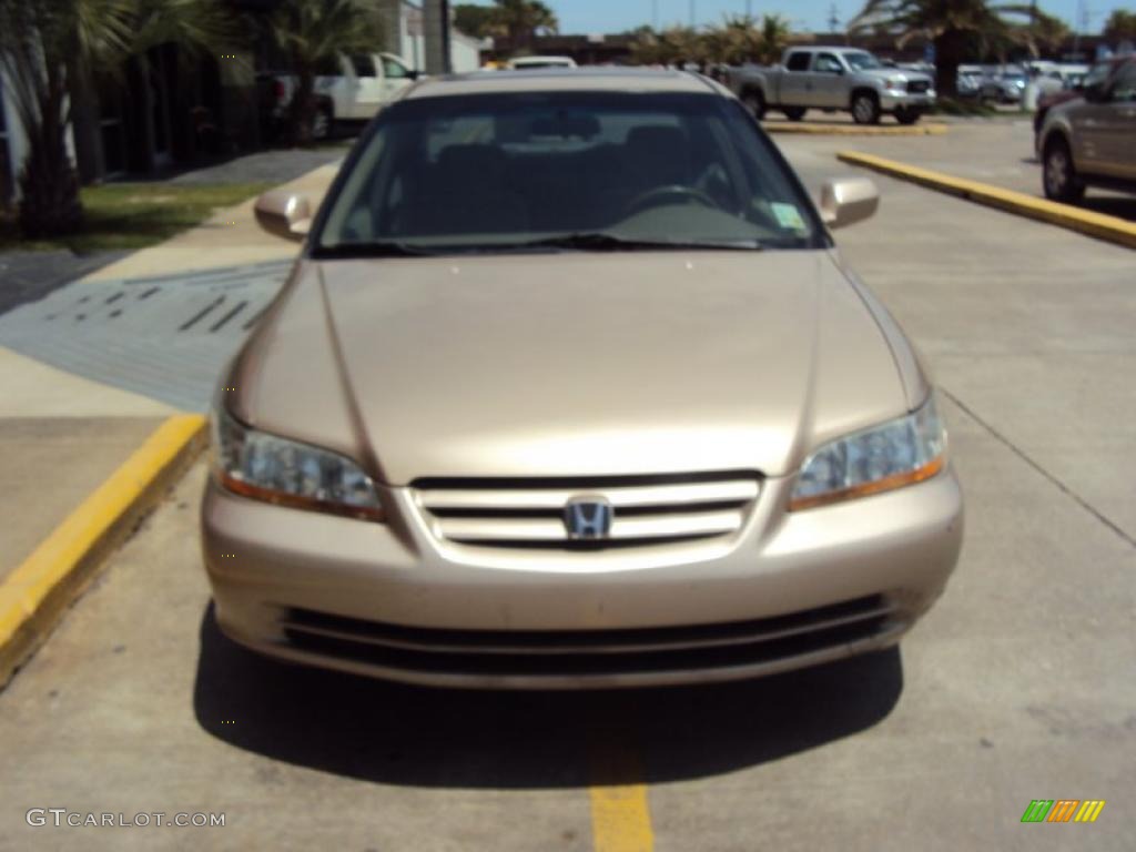 2002 Accord EX Sedan - Naples Gold Metallic / Ivory photo #6