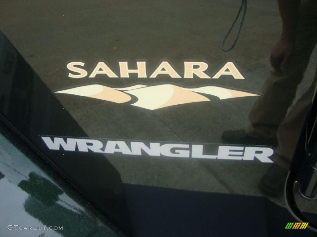 2010 Wrangler Sahara 4x4 - Natural Green Pearl / Dark Slate Gray/Medium Slate Gray photo #20
