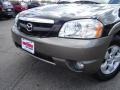 2004 Mystic Black Mazda Tribute LX V6 4WD  photo #32