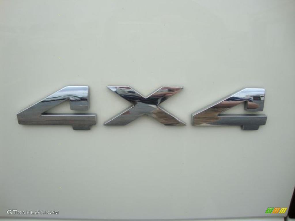 2007 Ram 1500 SLT Quad Cab 4x4 - Cool Vanilla / Medium Slate Gray photo #33