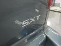 Magnesium Pearl - Grand Caravan SXT Photo No. 6