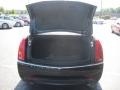Black Raven - CTS 3.0 Sedan Photo No. 9