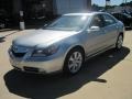 Platinum Frost Metallic - RL Technology Photo No. 1