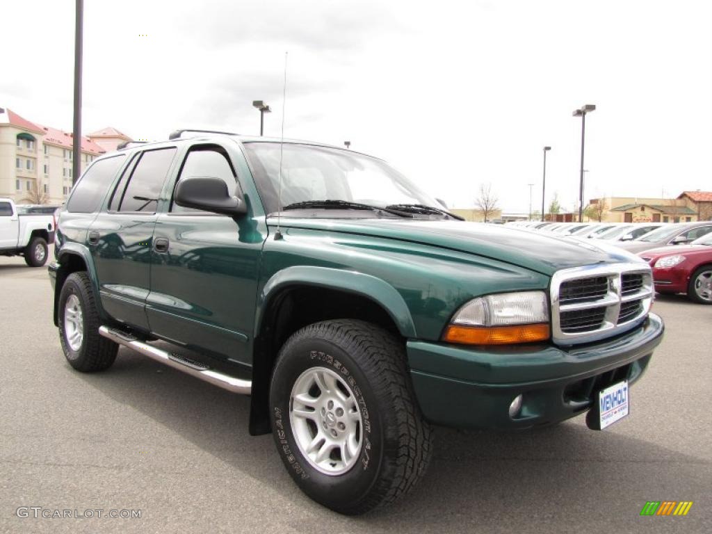 2003 Durango SLT 4x4 - Timberline Green Pearlcoat / Dark Slate Gray photo #11