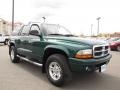 2003 Timberline Green Pearlcoat Dodge Durango SLT 4x4  photo #11