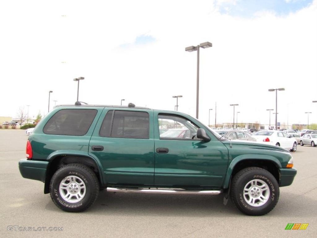 2003 Durango SLT 4x4 - Timberline Green Pearlcoat / Dark Slate Gray photo #12