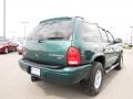 2003 Timberline Green Pearlcoat Dodge Durango SLT 4x4  photo #13