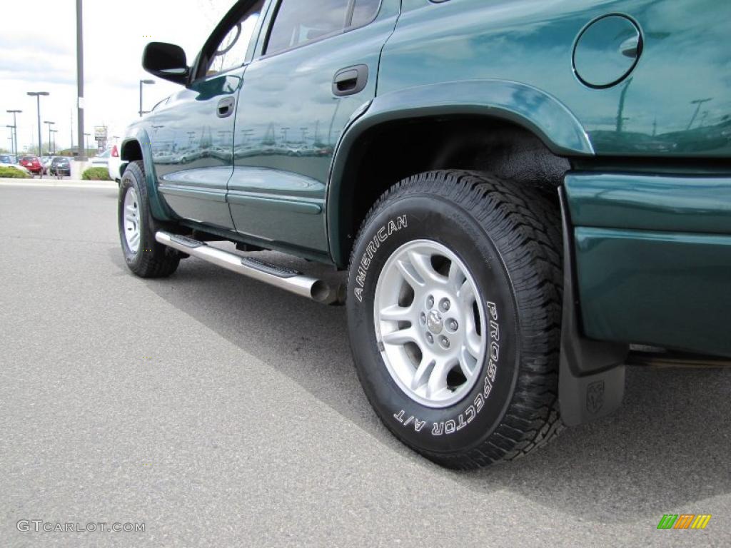 2003 Durango SLT 4x4 - Timberline Green Pearlcoat / Dark Slate Gray photo #14