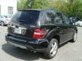Black - ML 350 4Matic Photo No. 4