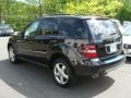 Black - ML 350 4Matic Photo No. 6