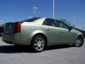 Silver Green - CTS Sedan Photo No. 7