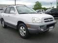 2006 Nordic White Hyundai Santa Fe Limited  photo #8