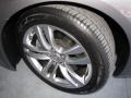 Platinum Graphite Gray - G 37 Coupe Photo No. 19