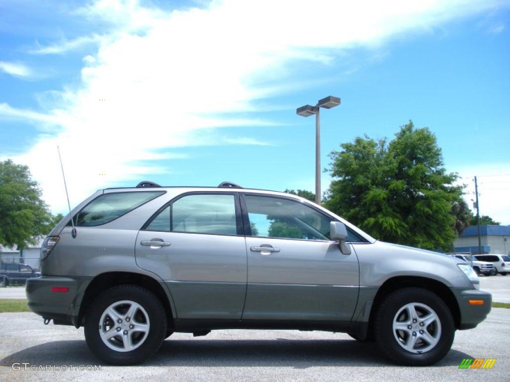 2001 RX 300 - Mineral Green Metallic / Black photo #4