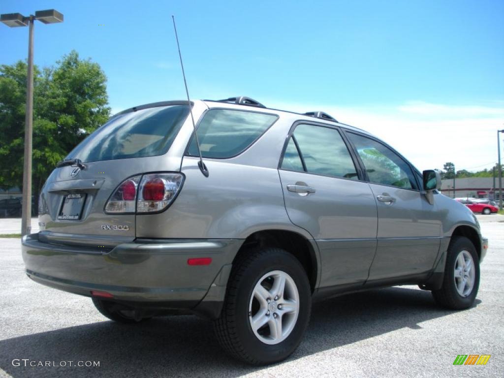 2001 RX 300 - Mineral Green Metallic / Black photo #5