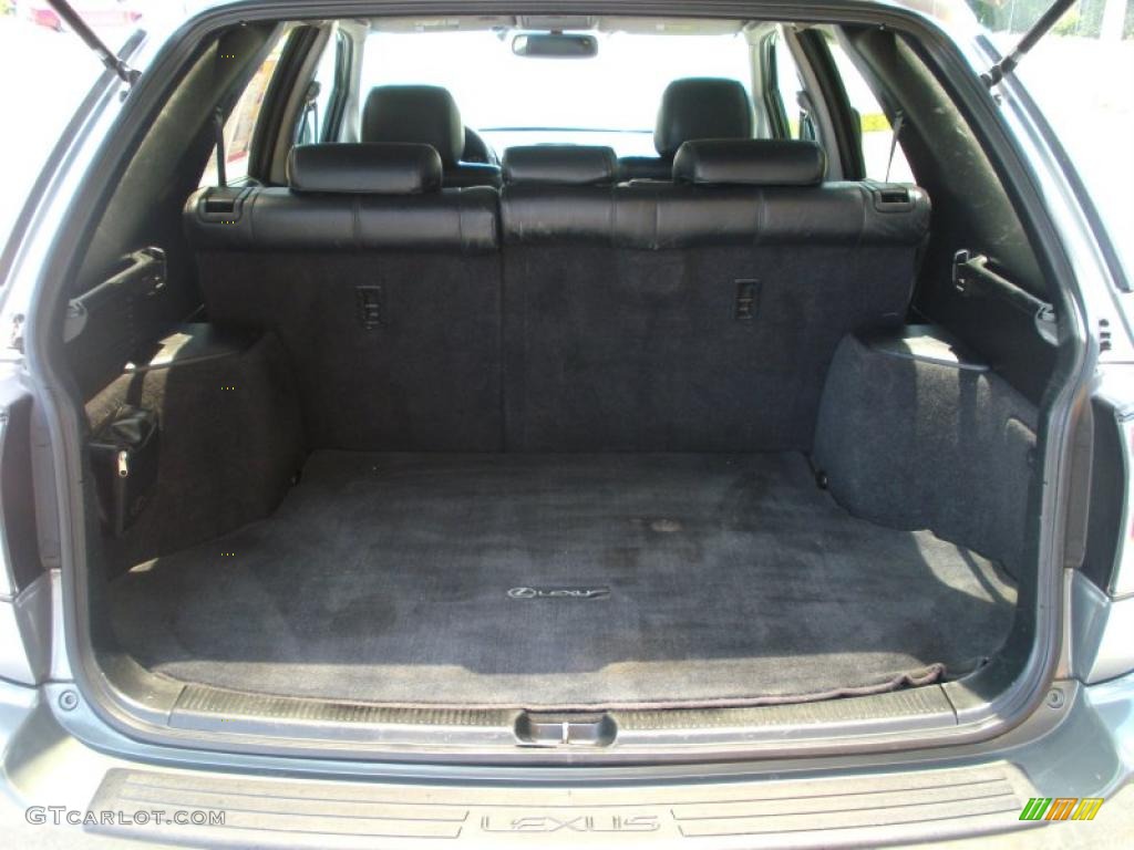 2001 RX 300 - Mineral Green Metallic / Black photo #22