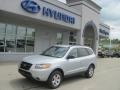 Bright Silver - Santa Fe GLS 4WD Photo No. 1