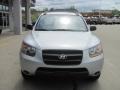 Bright Silver - Santa Fe GLS 4WD Photo No. 10