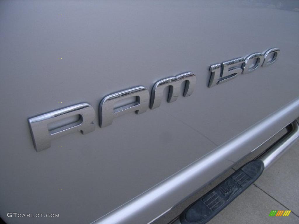 2006 Ram 1500 SLT Regular Cab - Bright Silver Metallic / Medium Slate Gray photo #10
