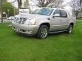 Quicksilver - Escalade EXT AWD Photo No. 2