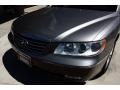 2006 Steel Gray Hyundai Azera Limited  photo #14