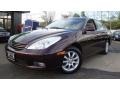Black Garnet Pearl - ES 330 Photo No. 1