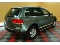 Reed Green Metallic - Touareg V6 Photo No. 6