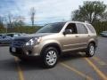 2005 Sahara Sand Metallic Honda CR-V Special Edition 4WD  photo #1