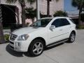 2009 Arctic White Mercedes-Benz ML 550 4Matic  photo #1