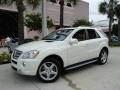 2009 Arctic White Mercedes-Benz ML 550 4Matic  photo #10