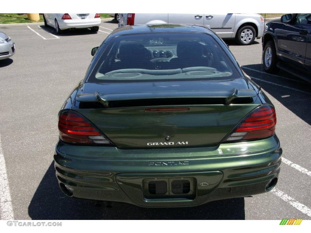 2000 Grand Am SE Sedan - Spruce Green Metallic / Dark Pewter photo #4
