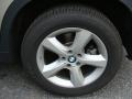 Platinum Bronze Metallic - X5 3.0si Photo No. 14