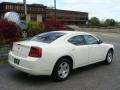 Stone White - Charger  Photo No. 3