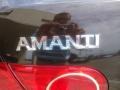 2006 Ebony Black Kia Amanti   photo #23