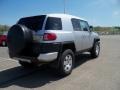 Titanium Metallic - FJ Cruiser 4WD Photo No. 6