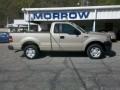 2007 Pueblo Gold Metallic Ford F150 XL Regular Cab  photo #1